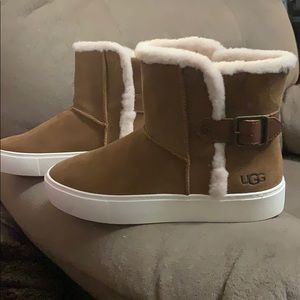 COPY - Ugg Boots. Chestnut color